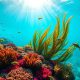 Belize’s Marvels Beneath: Explore Underwater Wonders