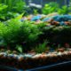 Aquascaping Basics for Beginners: Your Essential Guide