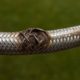 Emergency Plumber Tips for Burst Pipes and Flexi Hoses