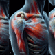 Acupuncture Techniques for Frozen Shoulder Relief