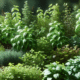 Herbs to Grow for Beginners: Easy Picks for New Gardeners