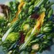 Salad Recipes for Fresh and Delicious Meals