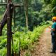 Canopy Tours: Explore Zip Lining Adventures in Belize