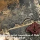 Slate Floor Restoration Timeframe Across Australia