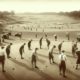 Germiston Golf Club: A Premier Spot for Golf Lovers