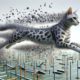 Egyptian Mau Speed Training for Optimal Agility