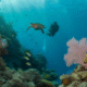 Belize Barrier Reef: Your 2025 Diving and Snorkeling Adventure