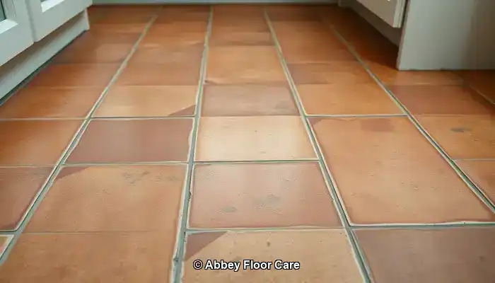 Key Factors Contributing to Rapid Dirt Build-Up on Terracotta Tiles