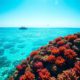 Belize Travel Guide: Essential Location Insights and Tips
