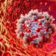 Ferritin Blood Test: Essential Health Insights for Bootle Locals
