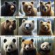 Surviving a Bear Attack: Essential Tips to Stay Safe
