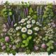Herbal Remedies Basics: A Comprehensive Guide for Aussies