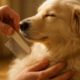 Flea Combing Routines: Top Tips for Pet Care