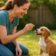 Housebreaking Tips: Effective Schedules for Puppy Training