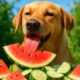 Pet Health Tips: Seasonal Diet Adjustments You Need