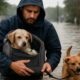 Pet Safety Measures During Flood Evacuations: Key Tips