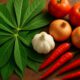 Cassava Leaf Stew Recipes for Nutritious Family Meals