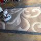 Rug Cleaning Methods: Steam vs Dry by Fibre Type