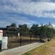 Tree Planting at Rutherford Dog Park in Maitland