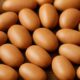 Ogiri Fermented Locust Bean: Easy Homemade Recipe Tips