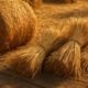 Hay and Straw Cooking: Exciting New Recipe Ideas