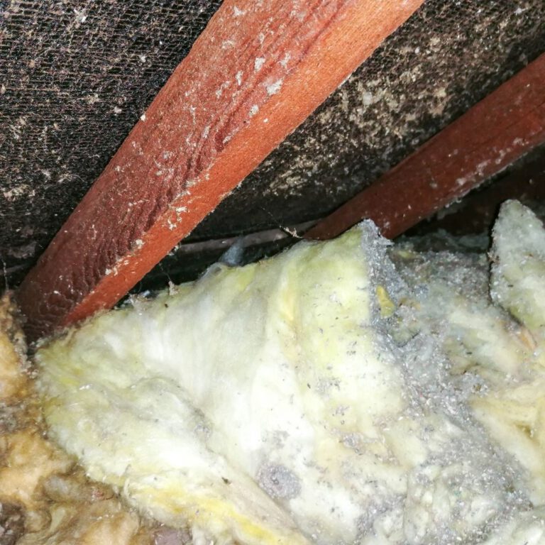Asbestos Concerns: Key Tips for Choosing a Skip Bin
