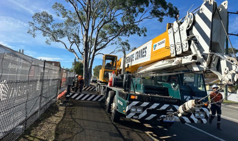 Crane-Assisted Tree Removal: Edgeworth Case Study Insights