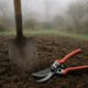 Garden Maintenance Tips for Every Season in Martock