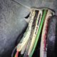 Electrical Faults: Managing Ants, Rats, and Mice in Homes
