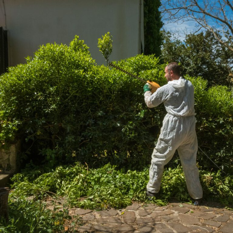Green Waste Solutions: 4 Efficient Disposal Methods