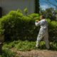 Green Waste Solutions: 4 Efficient Disposal Methods