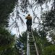 Electrical Defect Notice Response for the Mid North Coast