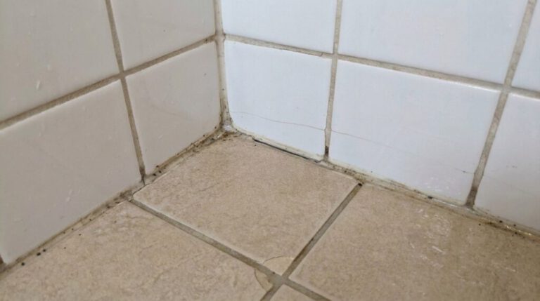 Shower Reseal: Genuine Solution or Temporary Fix?