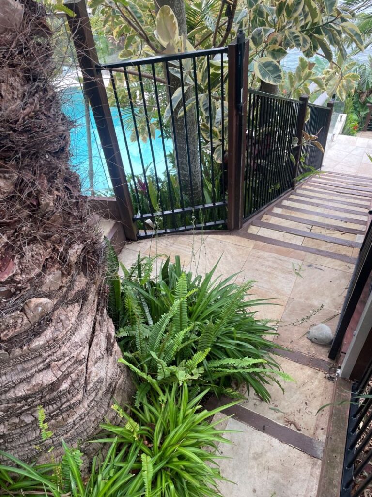 Pool Pipes Inspection